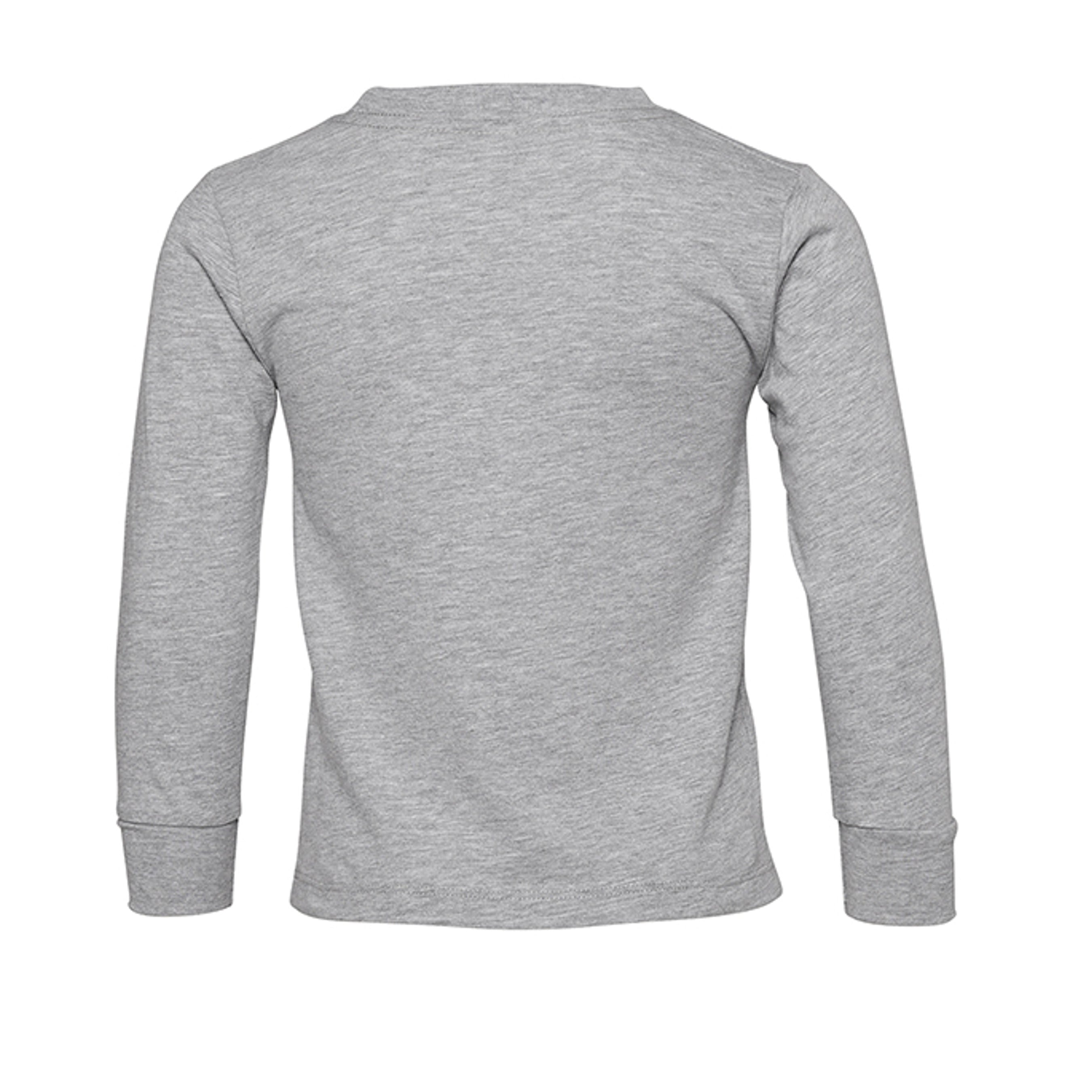 ATHLETIC HEATHER - 3501T - BACK